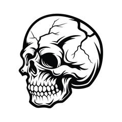 Creepy Skull Isolated on White, Black and White Skull Design, Grinning Skull Image