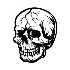 Skull Illustration, Black and White Skull, Isolated Skull, Human Anatomy, Head Bone