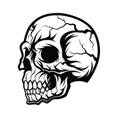 Black & White Skull Illustration, Cracked Surface, Spooky, Gothic, Anatomy, Outline