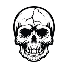 Bold Skull Illustration, Black and White Drawing with Crack and Detailed Bone Structure