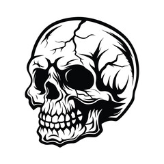 Skull Silhouette. Anatomical Bone Structure with Black Outline and Detailed Features