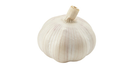 Isolated Single Garlic Bulb