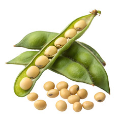 Soybean pods and beans closeup isolated on white background