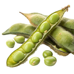 Soybean pods and beans closeup isolated on white background