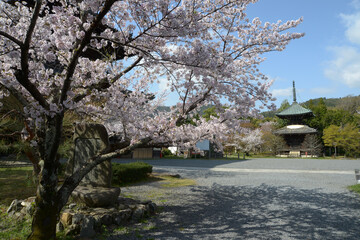 Naklejka premium 春の清涼寺 多宝塔 京都市右京区嵯峨