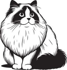 Black and White Ragdoll Cat Vector	