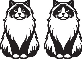 Black and White Ragdoll Cat Vector	