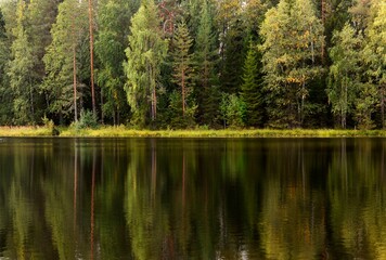 Obraz premium lake in the forest