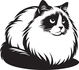 Black and White Ragdoll Cat Vector	