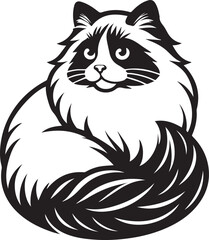 Black and White Ragdoll Cat Vector	