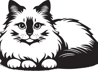 Black and White Ragdoll Cat Vector	