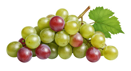 Isolated Bunch of Grapes