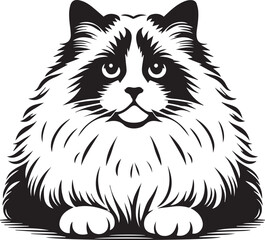 Black and White Ragdoll Cat Vector	