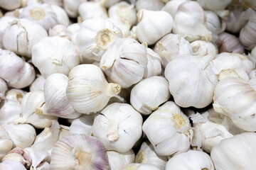 The group of garlic