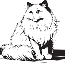 Black and White Ragdoll Cat Vector	