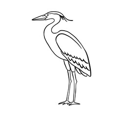Outline stork. Vector line illustration pond bird isolated on white background.