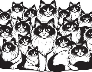 Black and White Ragdoll Cat Vector	