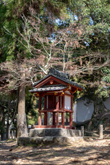 A Taste of Nara - Nara Park with Sakura