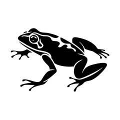 frog icon, frog line art - simple line art of frog, perfect for frog logos and icons