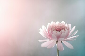 Obraz premium A pink flower with a white center is the main focus of the image