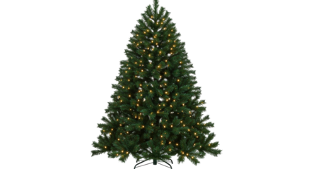 Isolated Christmas Tree