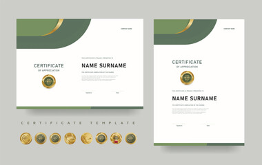 Certificate of appreciation template with modern green design. Editable vector layout with luxury award badges. Suitable for professional recognition, achievement, or course completion.