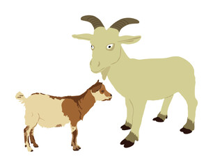 Farm goat and baby vector illustration isolated on white background. Farm animal family, goat and goatling symbol.
