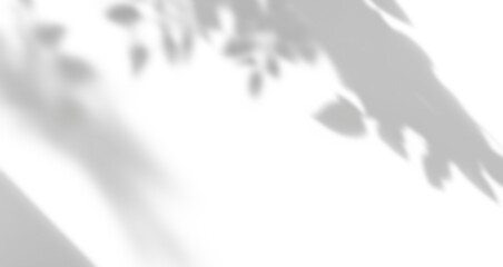 shadow overlay effects of realistic window and tree branch shadow with light blur on transparent background,Summer sunlight and shadow overlay effect