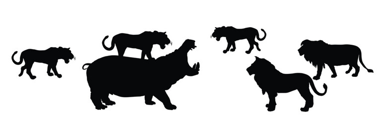 Lion pride in hunt attack hippopotamus vector silhouette illustration isolated. Lioness and lion male attack hippo big angry animal with open jaws. Animal king big cat. Africa wildlife predator shape.