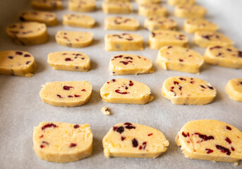 raw, ready-to-bake orange and cranberry cookie dough