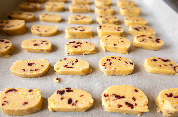 raw, ready-to-bake orange and cranberry cookie dough