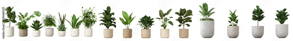 Poster minimalist mockups featuring various indoor plants in simple pots showcasing natural greenery and mo