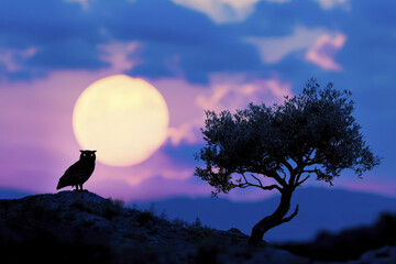 Fototapeta premium serene moonlit scene featuring owl perched on rock, silhouetted against large, glowing moon and distant tree