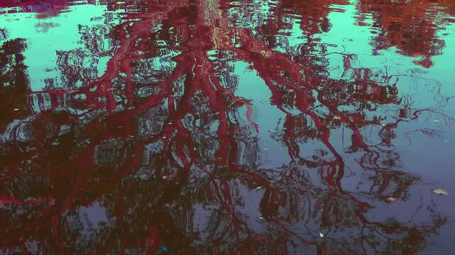 Abstract&nbsp;art trippy of tree branches and Leaves for Background.
