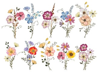 Collection with pressed dry flower bouquets isolated on white background. Watercolor