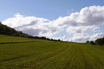 Rolling green hills stretch across the landscape under a blue sky dotted with fluffy white clouds
