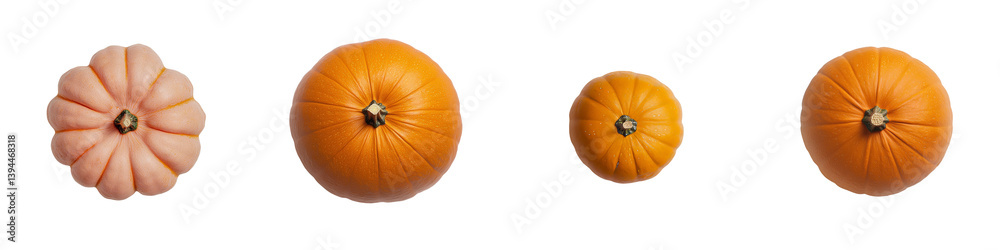 Poster collection of four minimalist pumpkin mockups showcasing varying sizes and shapes on a solid white b