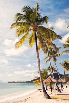 St Anne tropical beach, Martinique island, Caribbean