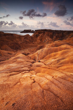 Savane de la Petrification desert, Martinique island, Caribbean