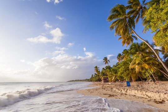 Famous Les Salines beach, Martinique island, Caribbean, French Antilles
