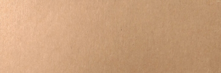 Brown paper texture background. The brown paper is empty, Abstract cardboard background. Vector illustration.