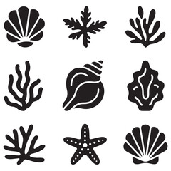 Set of Vector Black silhouettes sea shells, algae and starfish. illustration on a white background.