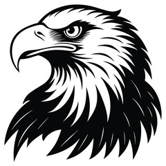 Obraz premium Eagle bald vector shilhouette single collection