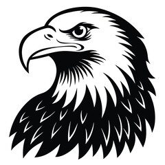Obraz premium Eagle bald vector shilhouette single collection