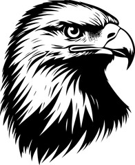 Powerful black and white vector illustration of a bald eagle's head in profile, showcasing its sharp gaze and detailed feathers. Represents freedom, strength, and American symbolism.