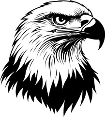 Powerful black and white vector illustration of a bald eagle's head in profile, showcasing its sharp gaze and detailed feathers. Represents freedom, strength, and American symbolism.