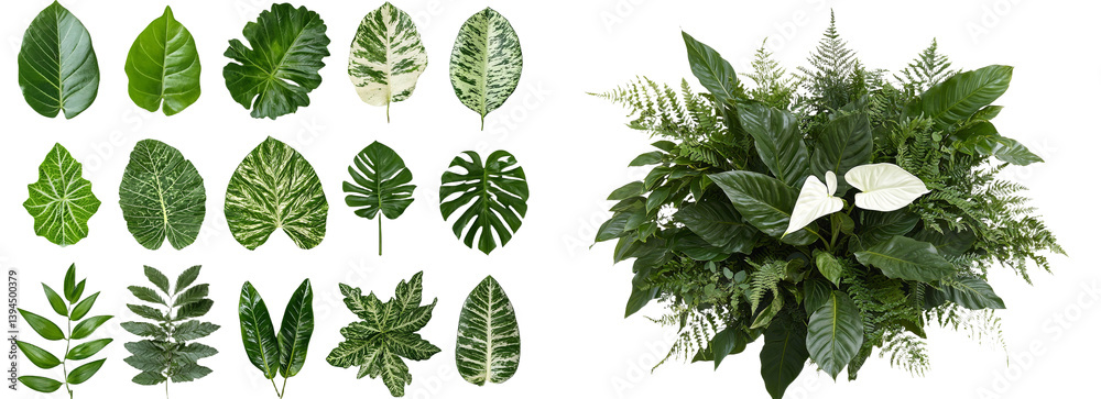Poster isolated minimalist mockups featuring a variety of lush green leaves and ferns in diverse shapes and