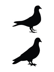 Black color pigeon silhouette set vector design. 