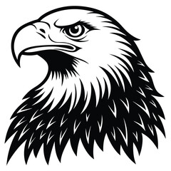 Obraz premium Eagle bald vector shilhouette single collection