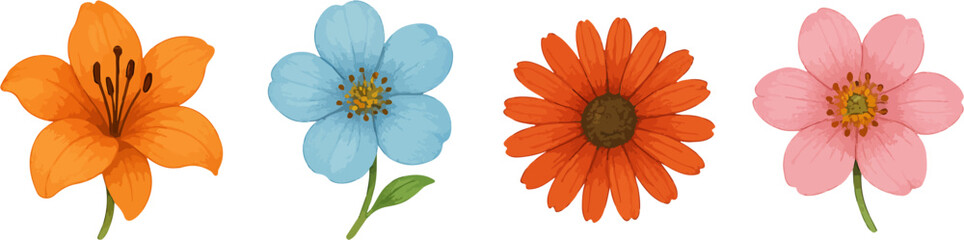 Colorful flowers
